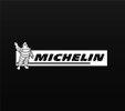 Michelin Gids
